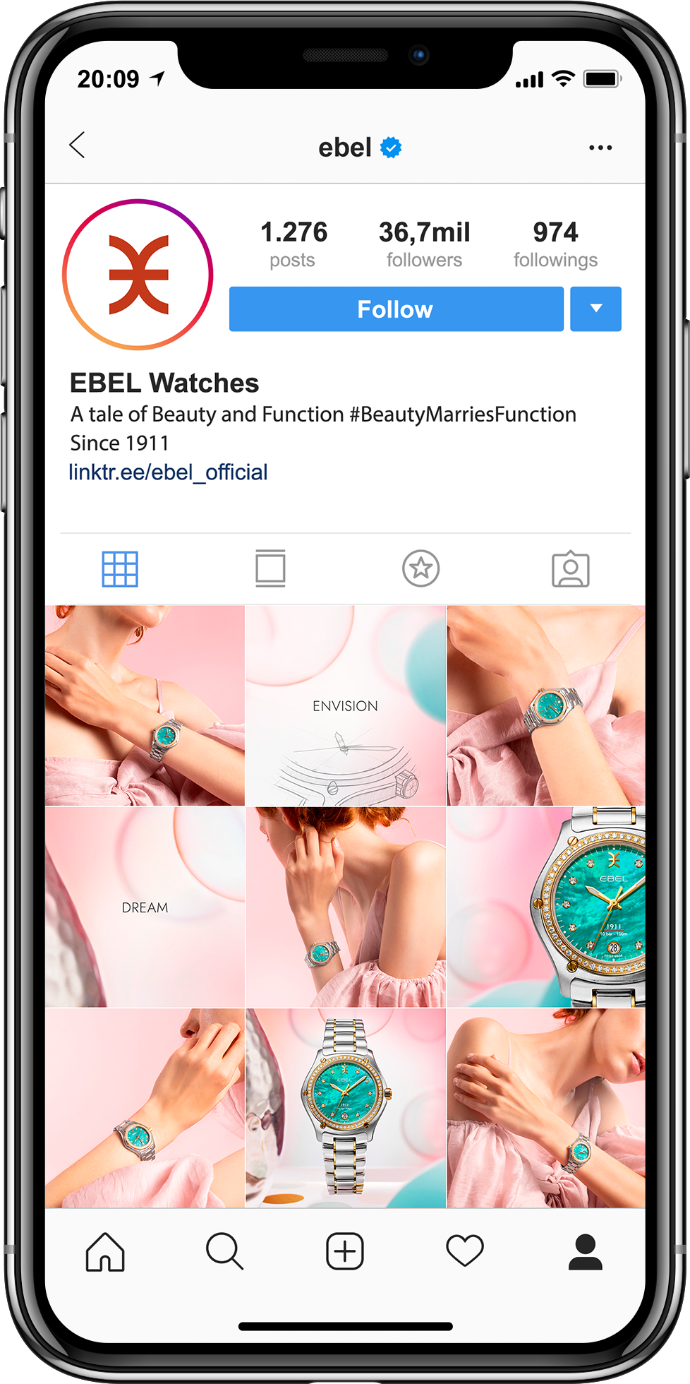 EBEL_Elecric_IG_Grid_IPhone_X_Simulation